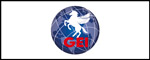 GOODWILL ENGINEERING & INSPECTION PTE LTD